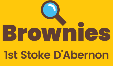 Stoke Brownies
